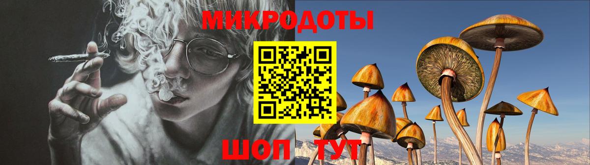 Псилоцибиновые грибы прущие грибы Печора